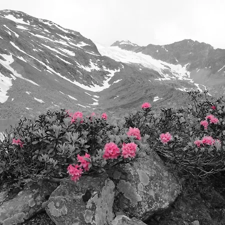 Rosenhuegel Konukevi