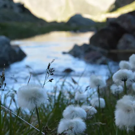 Konukevi Rosenhuegel