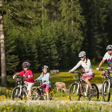 Rosenhuegel 3* Neustift im Stubaital